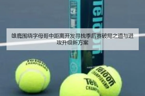 雄鹿围绕字母哥中距离开发寻找季后赛破局之道与进攻升级新方案
